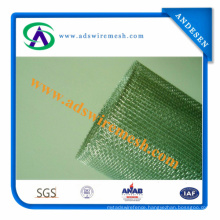 Bwg38-Bwg20 Electro Galvanized Square Wire Mesh (ISO9001: 2000 Factory)